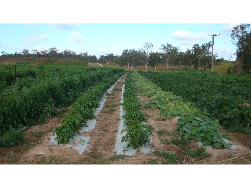 Mareeba QLD 4880