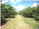 Mareeba QLD 4880