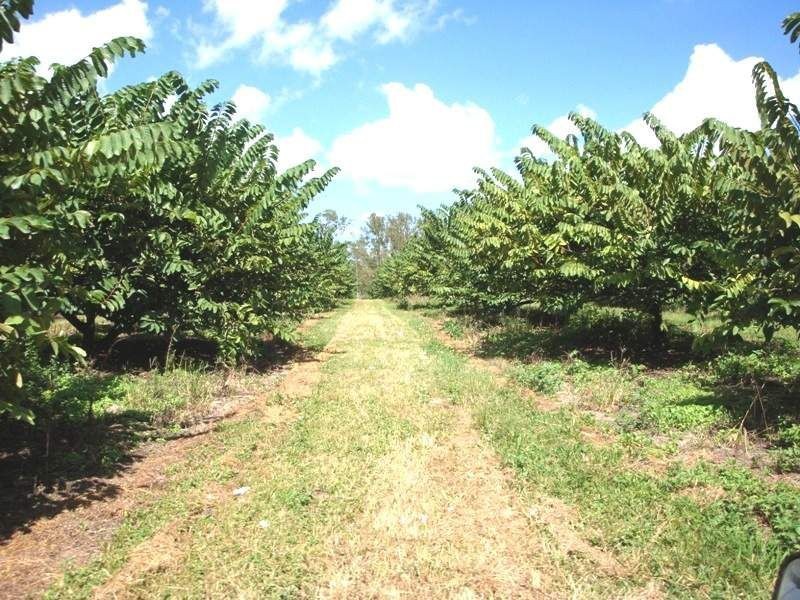 Mareeba QLD 4880