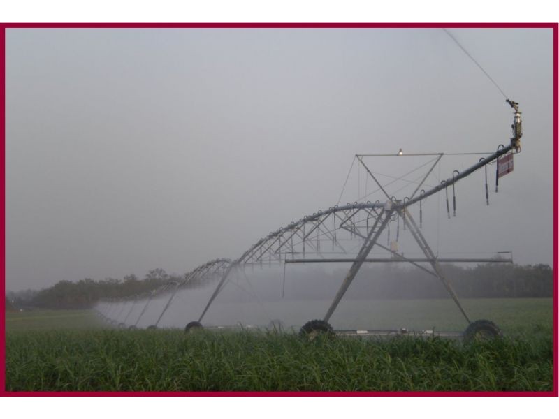 Mareeba QLD 4880