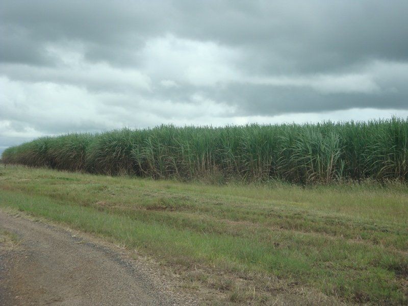 Mareeba QLD 4880
