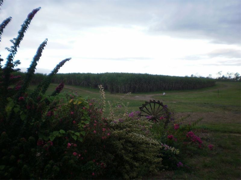 Mareeba QLD 4880