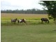 Biboohra QLD 4880