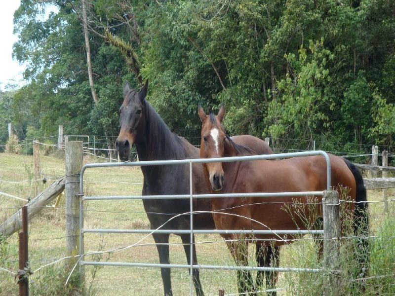 Julatten QLD 4871
