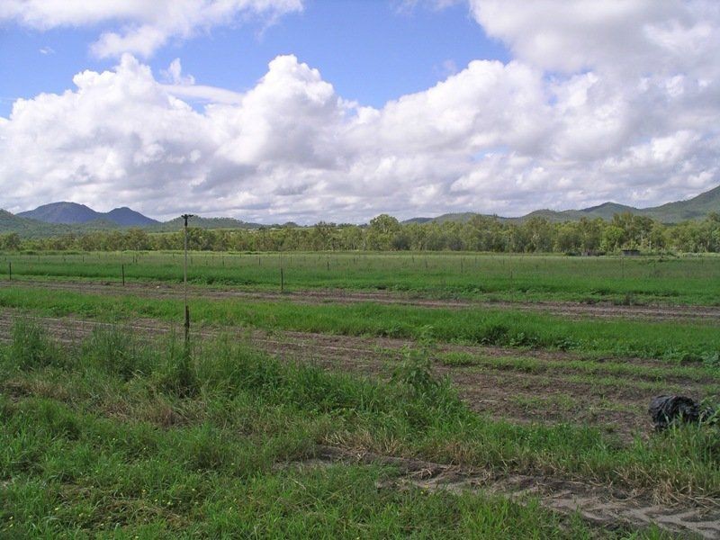 Dimbulah QLD 4872