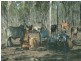 Dimbulah QLD 4872