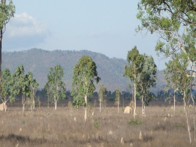 Dimbulah QLD 4872