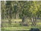 Biboohra QLD 4880