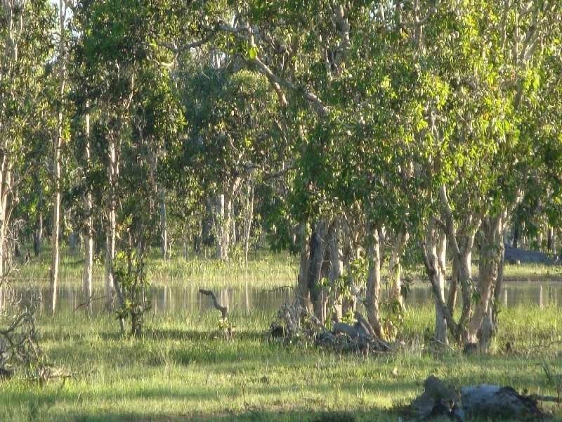 Biboohra QLD 4880