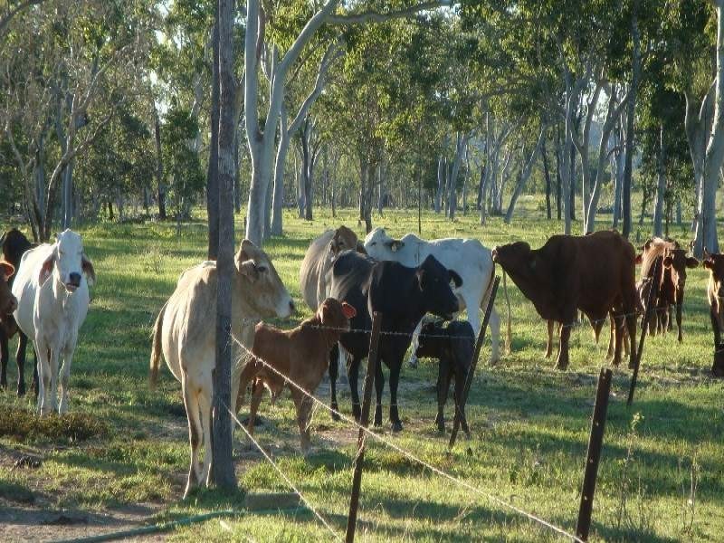 Biboohra QLD 4880