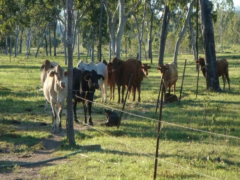 Biboohra QLD 4880