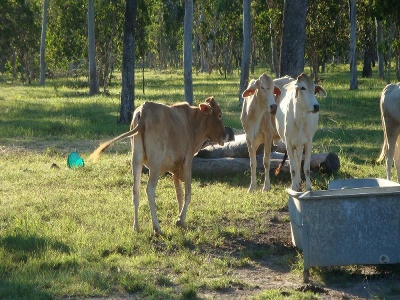 Biboohra QLD 4880