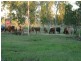 Biboohra QLD 4880
