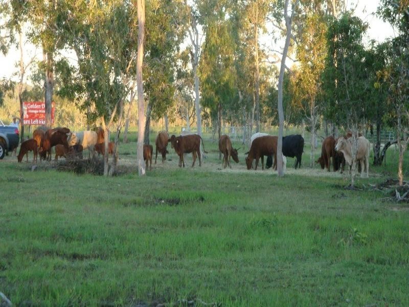 Biboohra QLD 4880