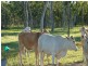 Biboohra QLD 4880