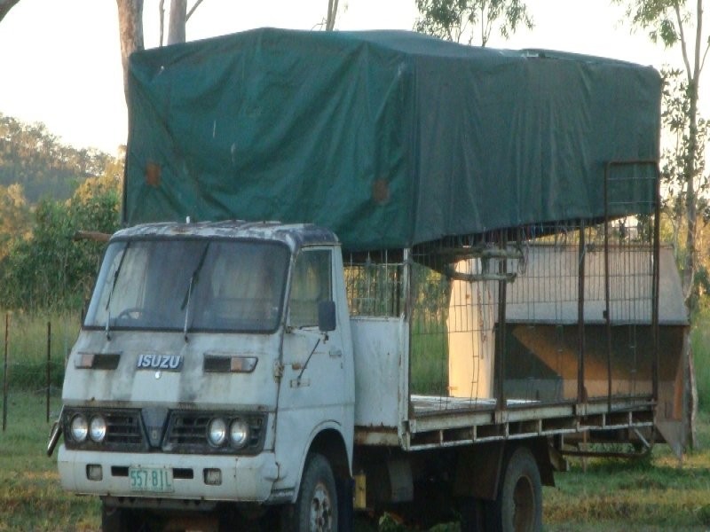 Biboohra QLD 4880