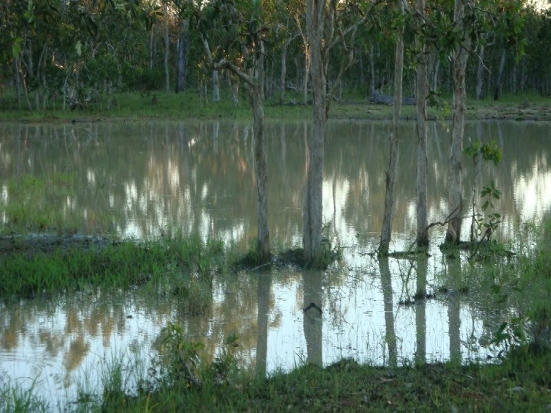Biboohra QLD 4880