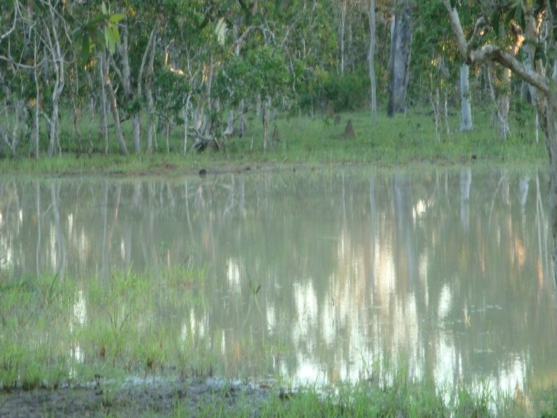 Biboohra QLD 4880