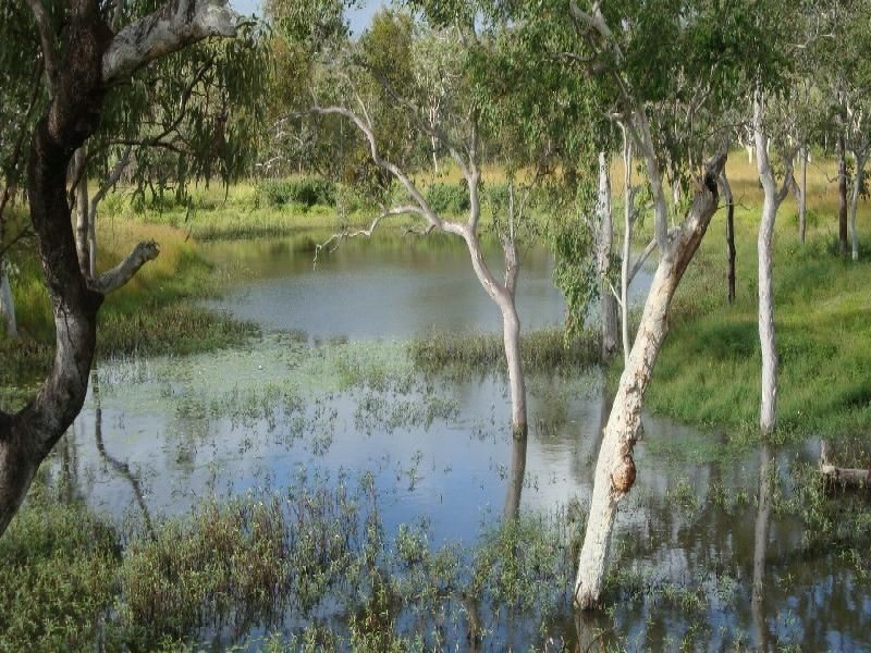 Walkamin QLD 4872