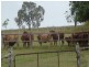 Walkamin QLD 4872