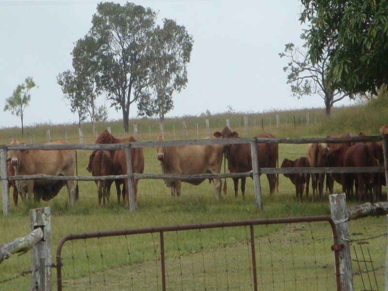 Walkamin QLD 4872