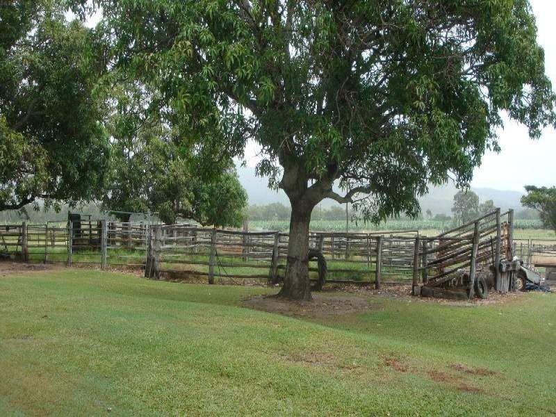 Walkamin QLD 4872