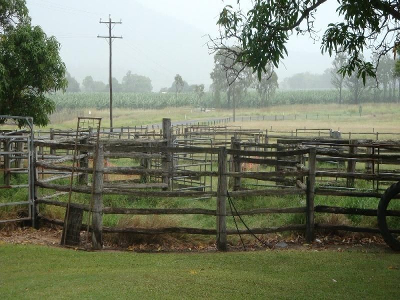 Walkamin QLD 4872