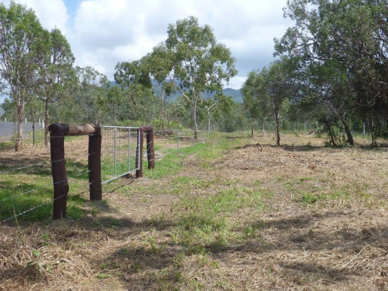 Mount Molloy QLD 4871