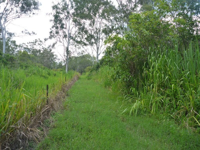 Mount Molloy QLD 4871