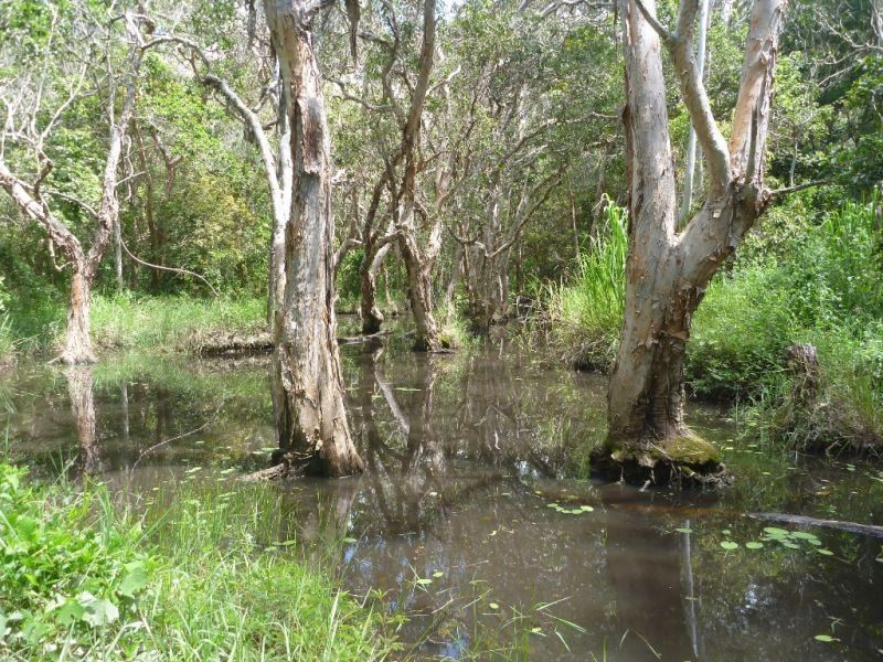 Mount Molloy QLD 4871