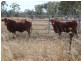Dimbulah QLD 4872
