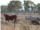 Dimbulah QLD 4872