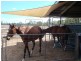 Dimbulah QLD 4872
