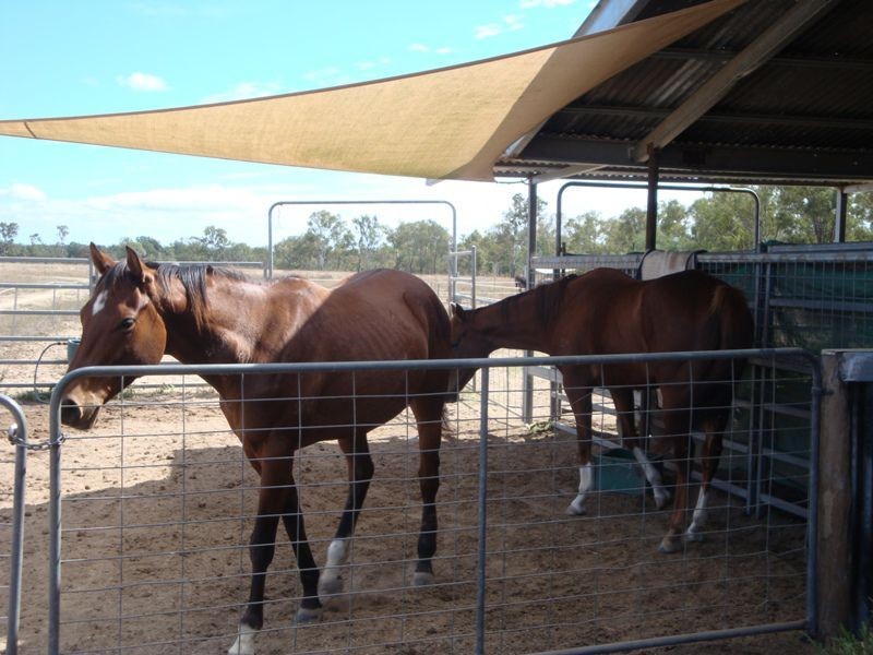 Dimbulah QLD 4872