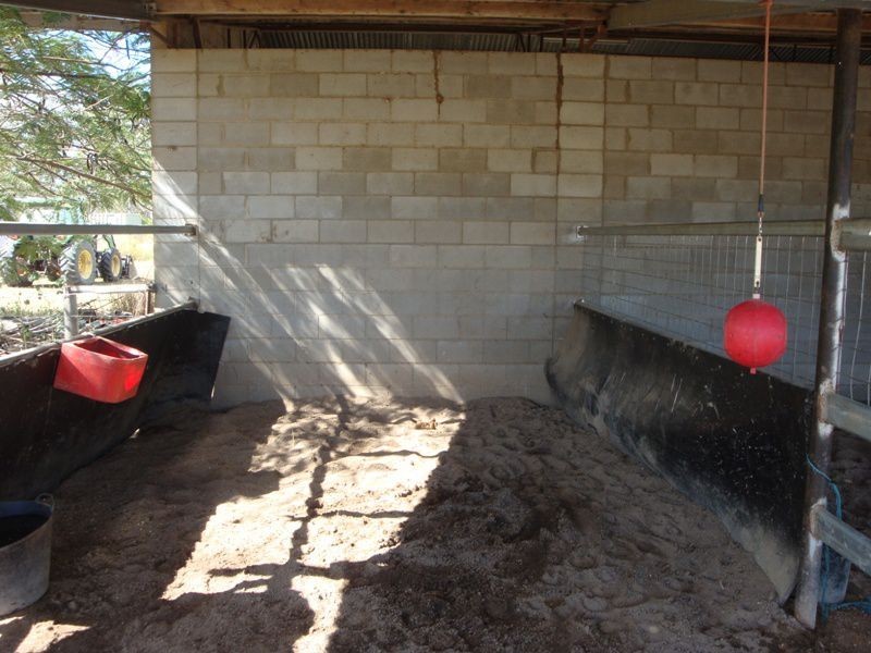 Dimbulah QLD 4872