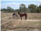Dimbulah QLD 4872