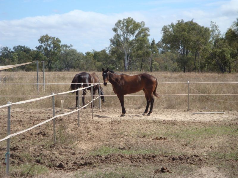 Dimbulah QLD 4872