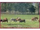 Biboohra QLD 4880