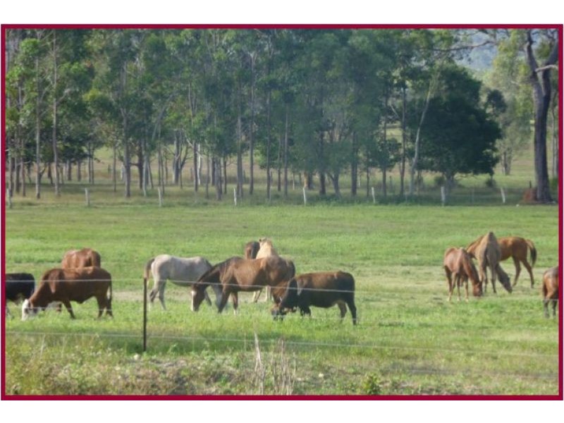 Biboohra QLD 4880