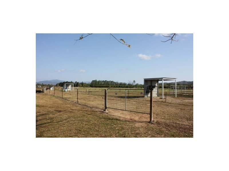Koah QLD 4881
