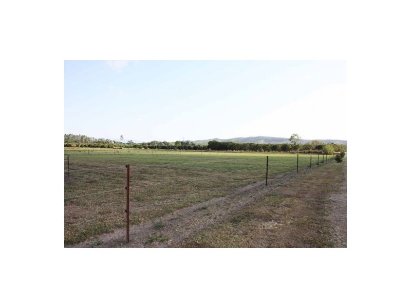 Koah QLD 4881