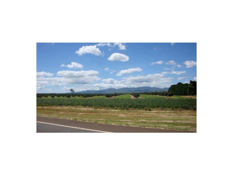 Walkamin QLD 4872