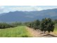 Walkamin QLD 4872