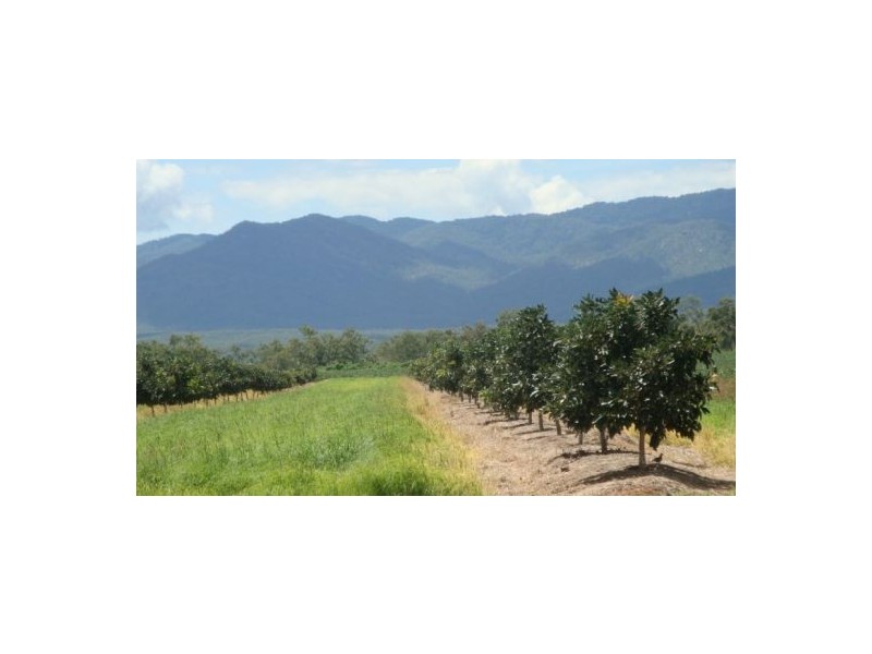 Walkamin QLD 4872