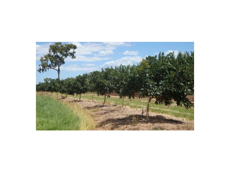 Walkamin QLD 4872