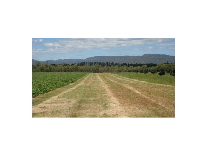 Walkamin QLD 4872