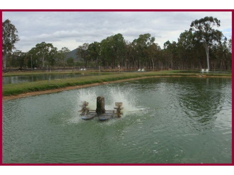 Mount Molloy QLD 4871