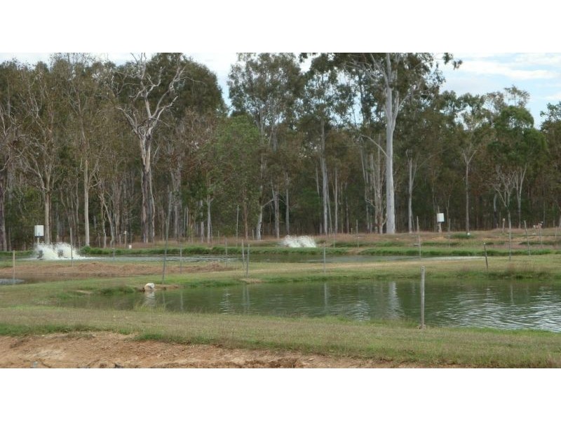 Mount Molloy QLD 4871