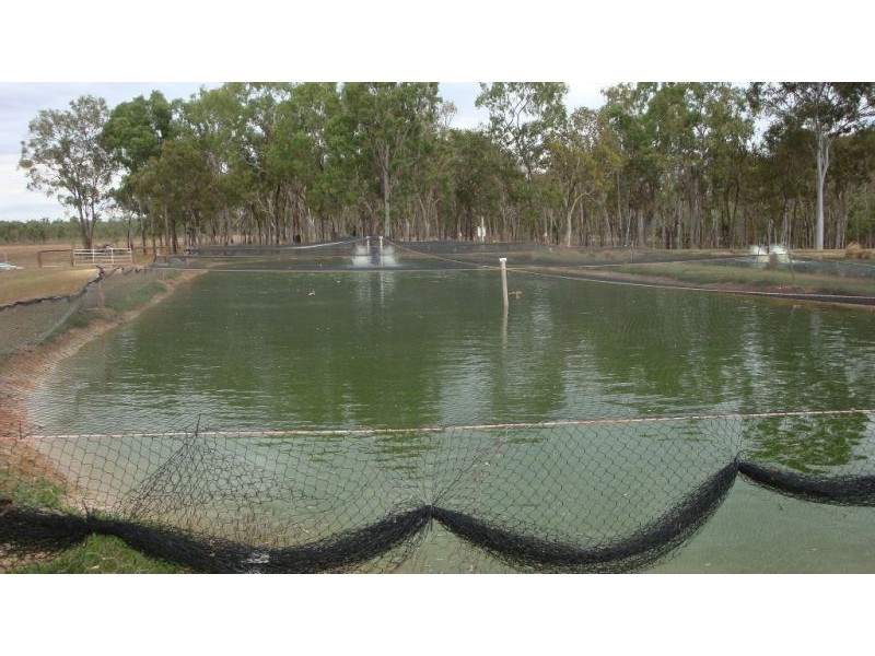 Mount Molloy QLD 4871