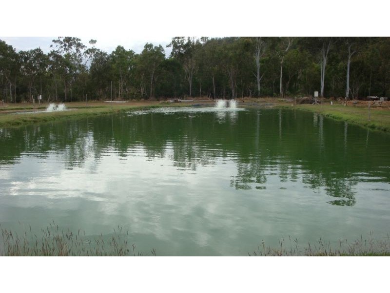 Mount Molloy QLD 4871